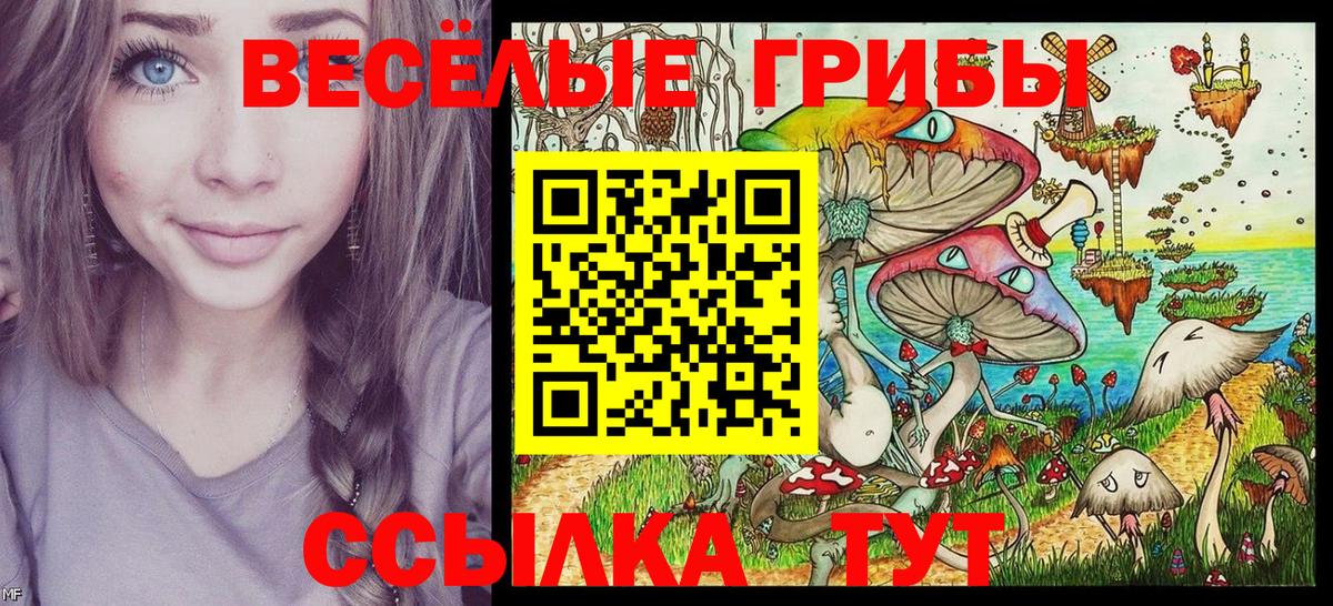 Псилоцибиновые грибы Psilocybine cubensis Миасс