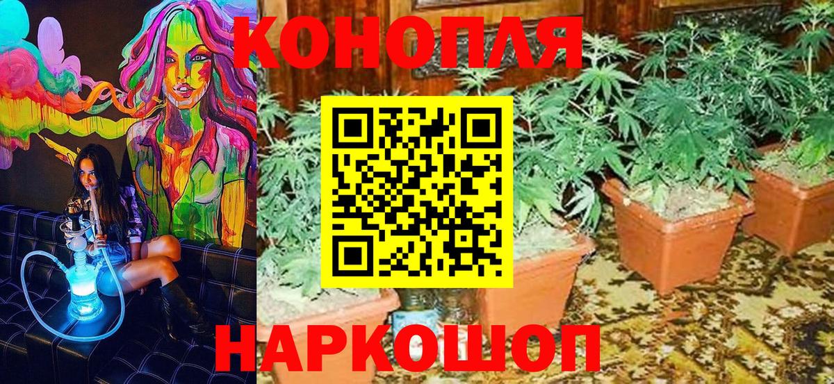 Бошки Шишки THC 21%  Вход с VPN  Каннабис Ganja  Канабис план  Миасс 